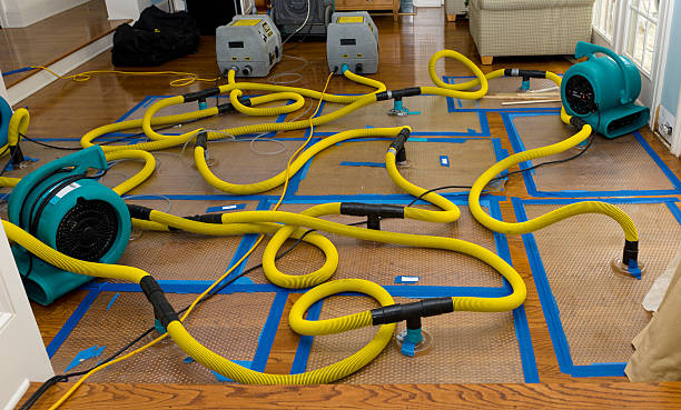 Professional Basement Flood Cleanup technician working in Sunnyside, GA